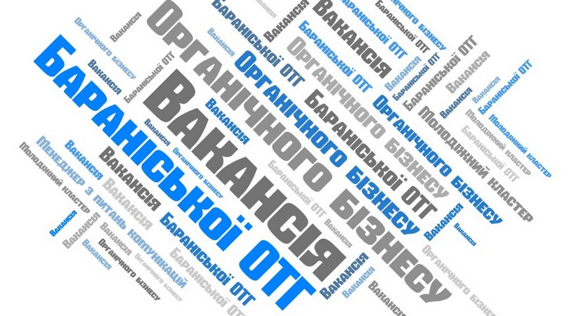 Місцевий менеджер з питань комунікацій проекту "Молодіжний кластер органічного бізнесу Баранівської ОТГ"