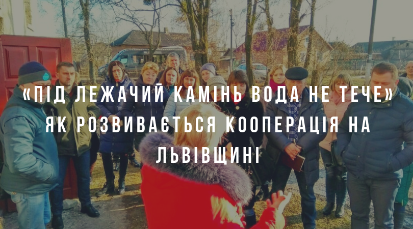 «Під лежачий камінь вода не тече» Як розвивається кооперація на Львівщині