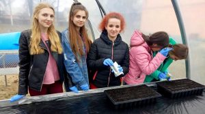 А тим часом кипить робота в теплиці Баранівського МРЦ