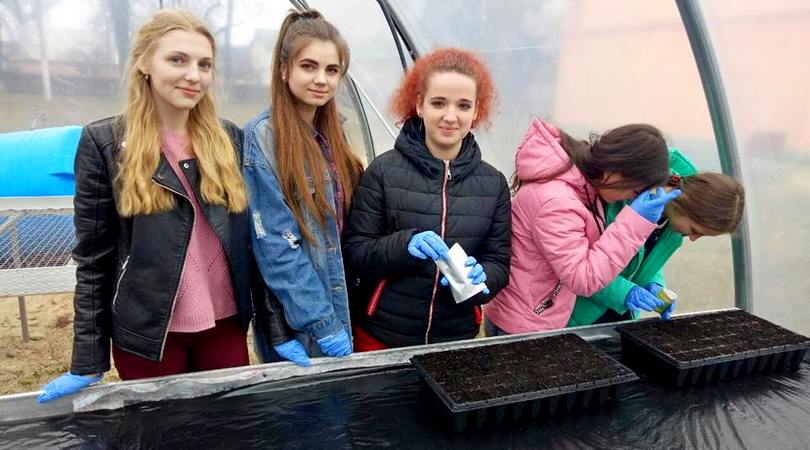 А тим часом кипить робота в теплиці Баранівського МРЦ