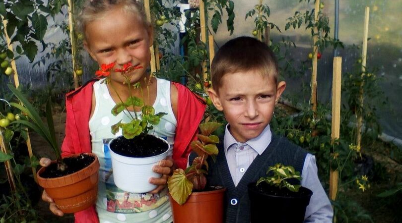 Школярі Баранівської громади виростили квіти для мами у шкільній теплиці