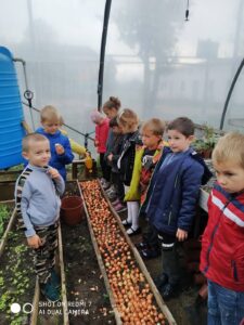 Урок «Я досліджую світ» в тепличному коворкінгу