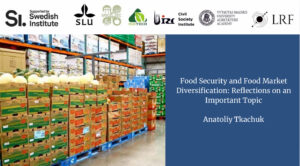 Food Security and Food Market Diversification: Reflections on an Important Topic