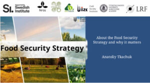 ABOUT THE FOOD SECURITY STRATEGY AND WHY IT MATTERS