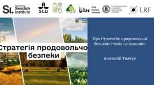 Про Стратегію продовольчої безпеки і чому це важливо